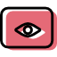 eye